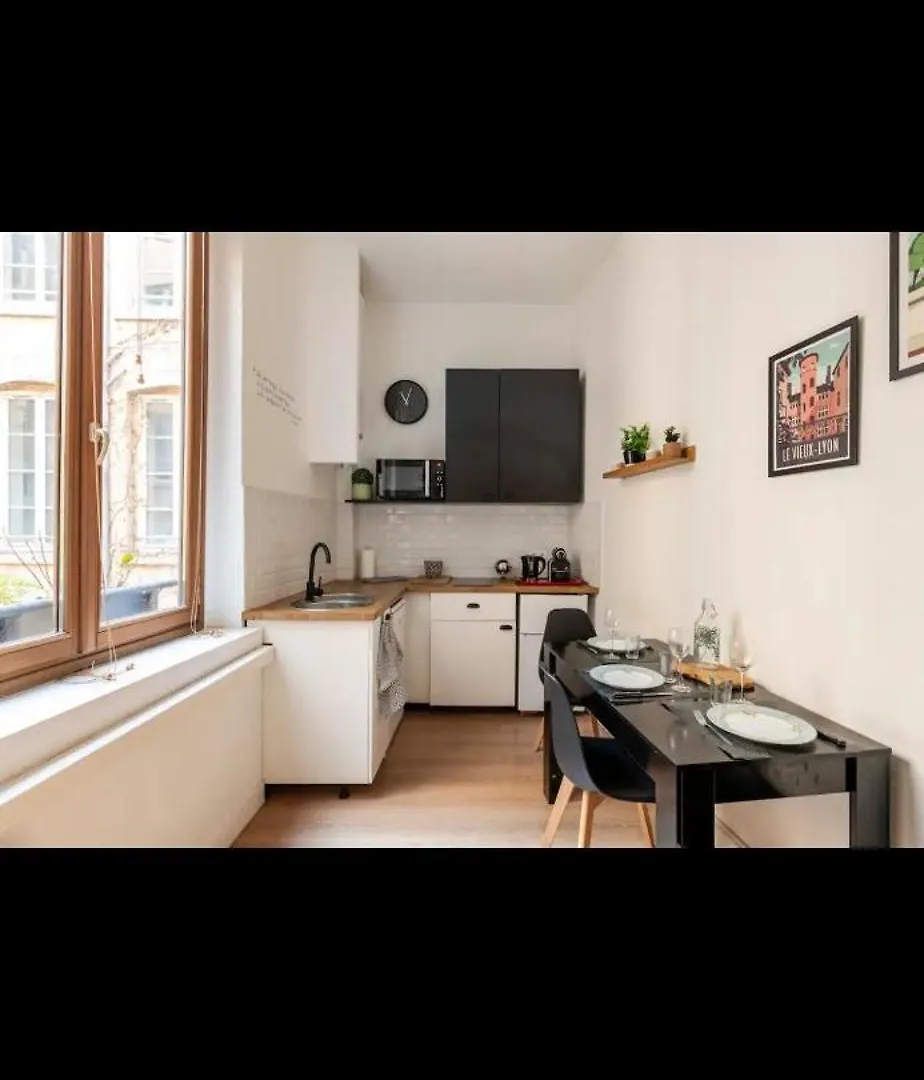 Appartement Plein Centre De Lyon ! Chic Et Pratique!